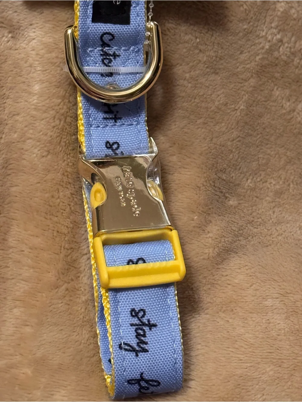 kate spade Light Blue and Yellow Pet Collar with Branded Gold Buckle M/L